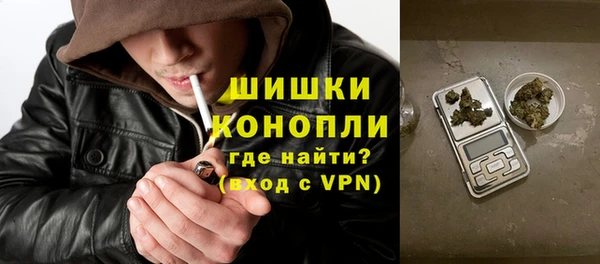 дживик Бородино