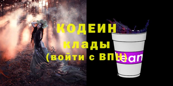 молекула духа Бронницы