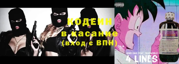 дживик Бородино
