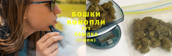 молекула духа Бронницы