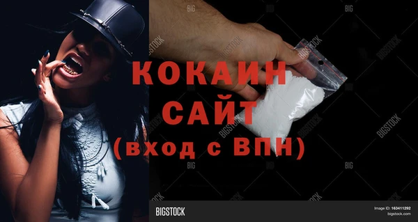 молекула духа Бронницы