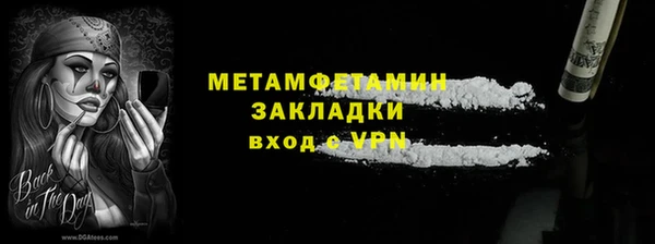 прущие грибы Богородск