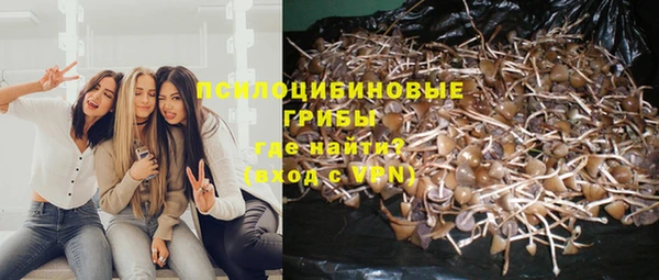 первитин Белокуриха