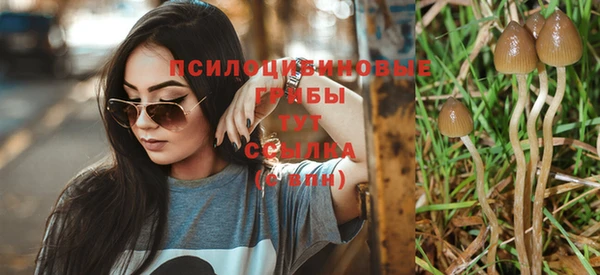 дживик Бородино