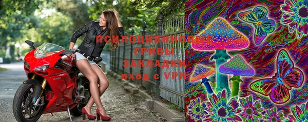 молекула духа Бронницы