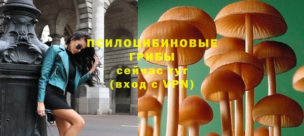дживик Бородино