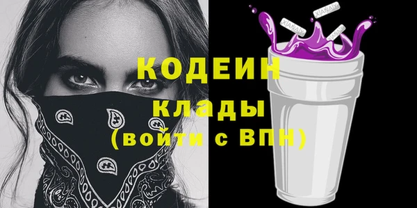 дживик Бородино