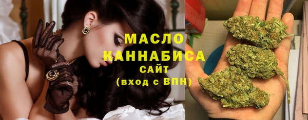 молекула духа Бронницы