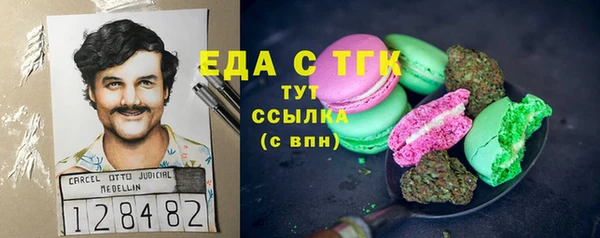 дживик Бородино