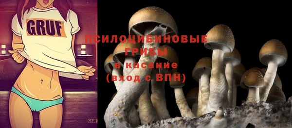 метадон Богданович