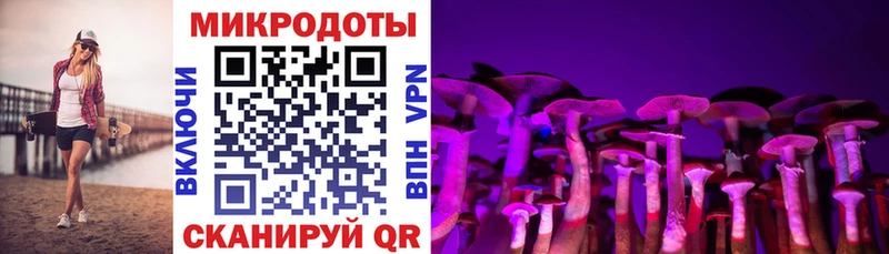 Псилоцибиновые грибы GOLDEN TEACHER  Дальнереченск 