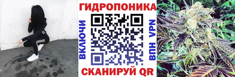 купить наркотики цена  Дальнереченск  Каннабис Ganja 